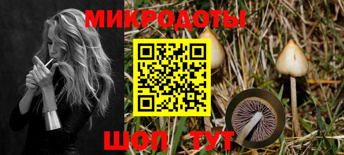 Галлюциногенные грибы прущие грибы Артёмовский