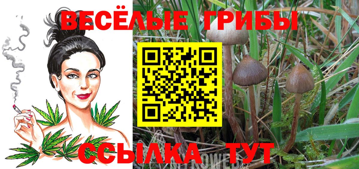 Псилоцибиновые грибы Psilocybe  Псилоцибиновые грибы MAGIC MUSHROOMS  Вход с VPN  Артёмовский 